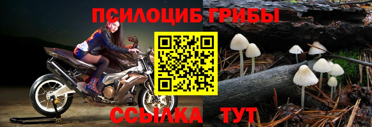 Галлюциногенные грибы Magic Shrooms Верхняя Салда