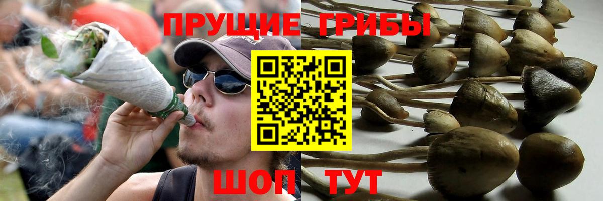 Галлюциногенные грибы мухоморы  Галлюциногенные грибы ЛСД  Вход с VPN  Верхняя Салда 